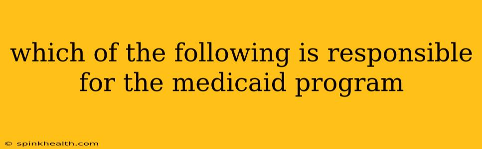 which of the following is responsible for the medicaid program
