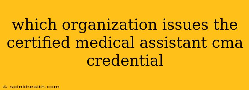 which organization issues the certified medical assistant cma credential