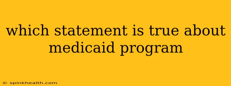 which statement is true about medicaid program