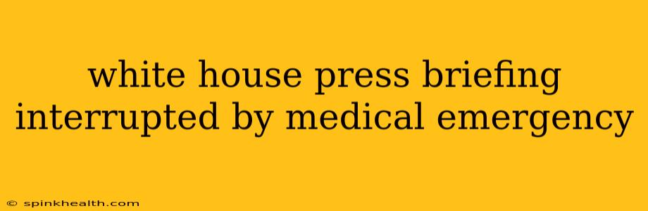 white house press briefing interrupted by medical emergency