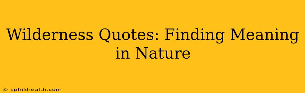 Wilderness Quotes: Finding Meaning in Nature