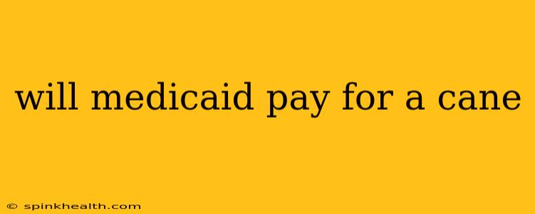 will medicaid pay for a cane