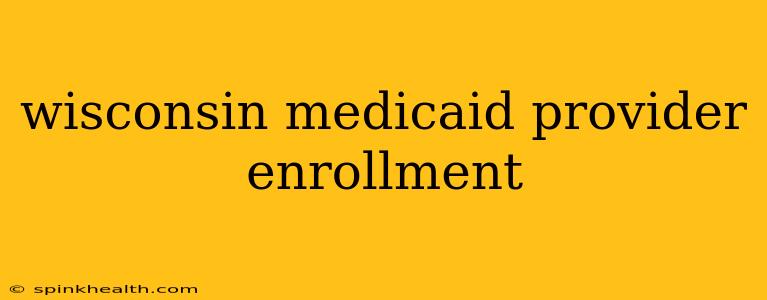 wisconsin medicaid provider enrollment