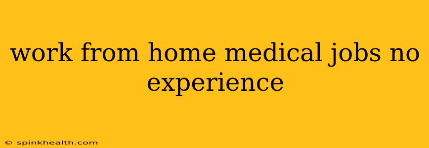 work from home medical jobs no experience
