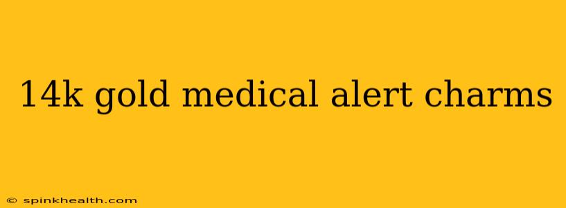14k gold medical alert charms
