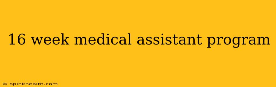 16 week medical assistant program