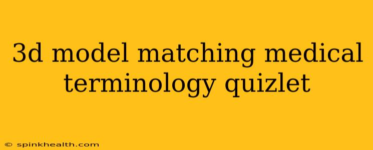 3d model matching medical terminology quizlet