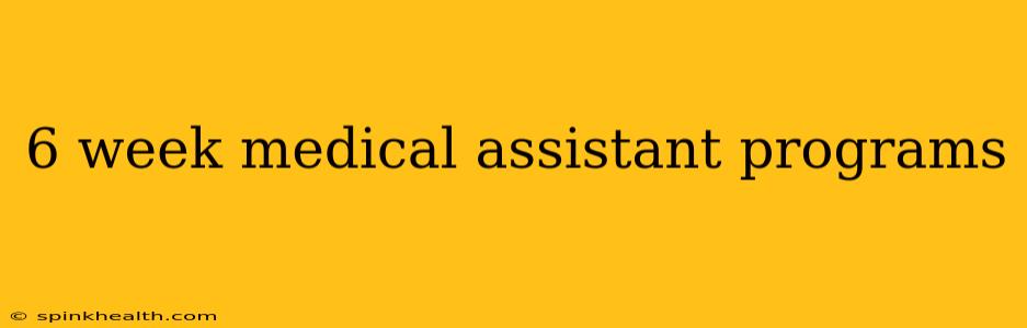 6 week medical assistant programs