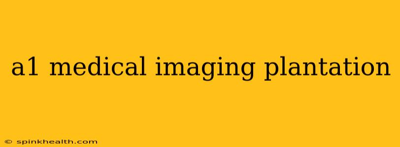 a1 medical imaging plantation