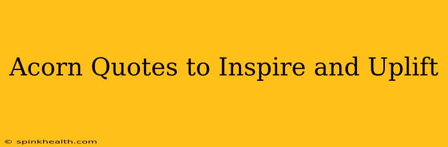 Acorn Quotes to Inspire and Uplift