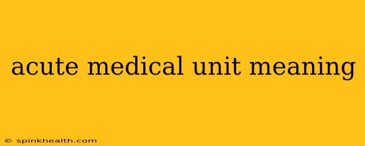 acute medical unit meaning