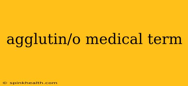 agglutin/o medical term