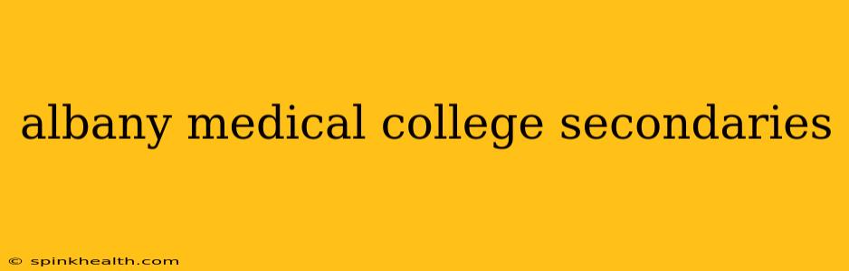 albany medical college secondaries