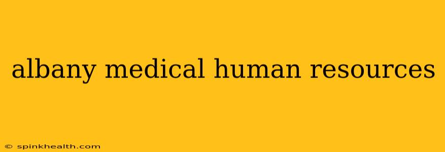 albany medical human resources