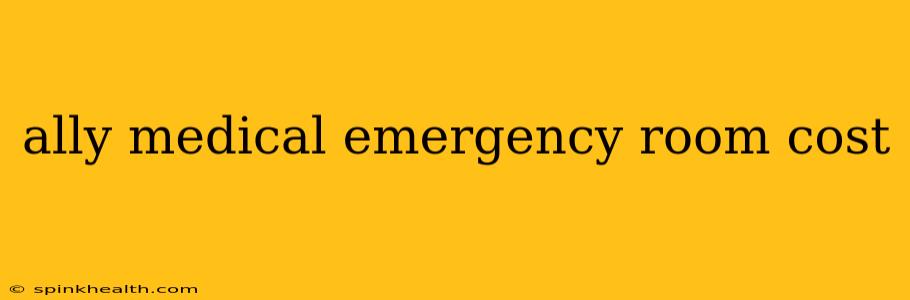 ally medical emergency room cost