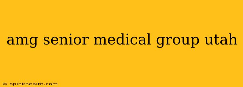 amg senior medical group utah