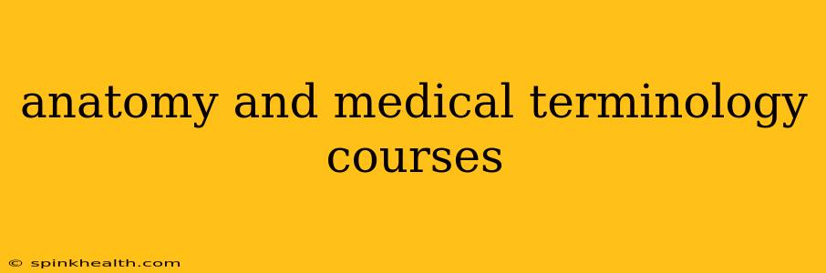 anatomy and medical terminology courses
