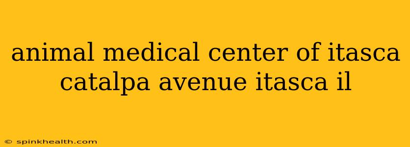animal medical center of itasca catalpa avenue itasca il