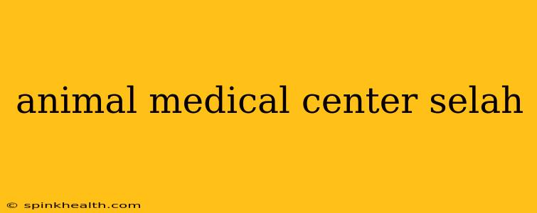 animal medical center selah