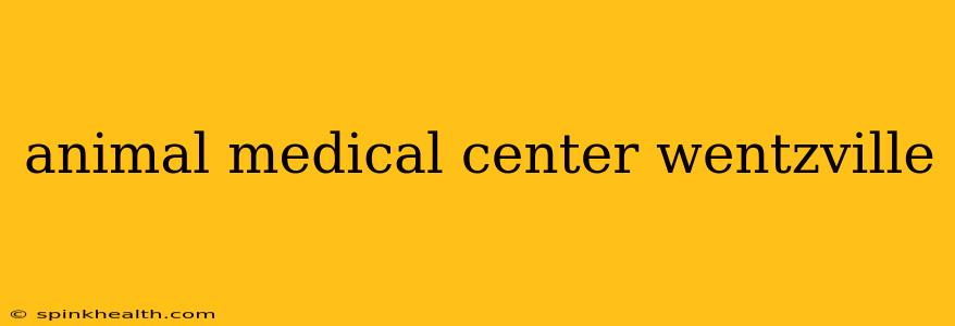 animal medical center wentzville