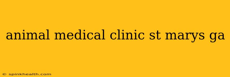 animal medical clinic st marys ga