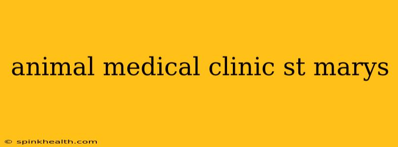 animal medical clinic st marys