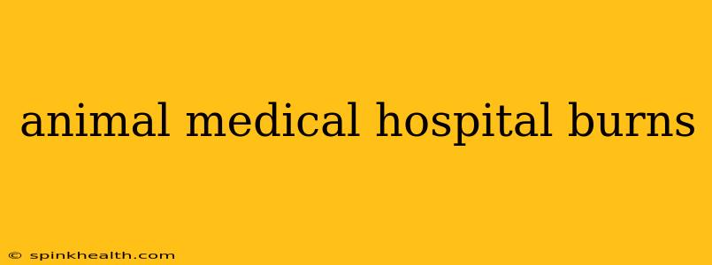 animal medical hospital burns