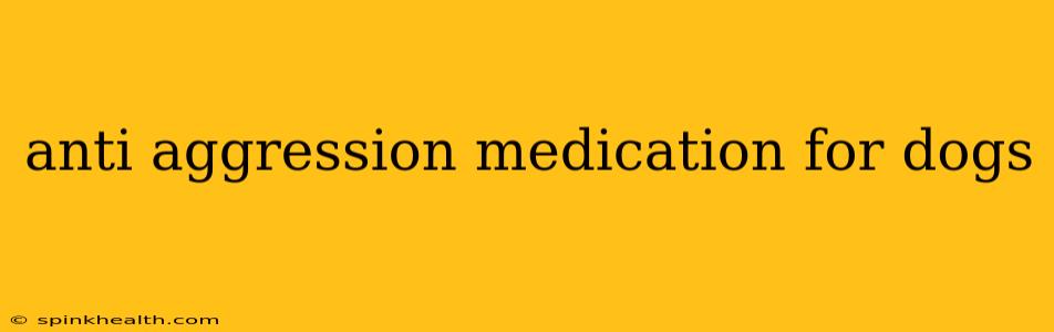 anti aggression medication for dogs