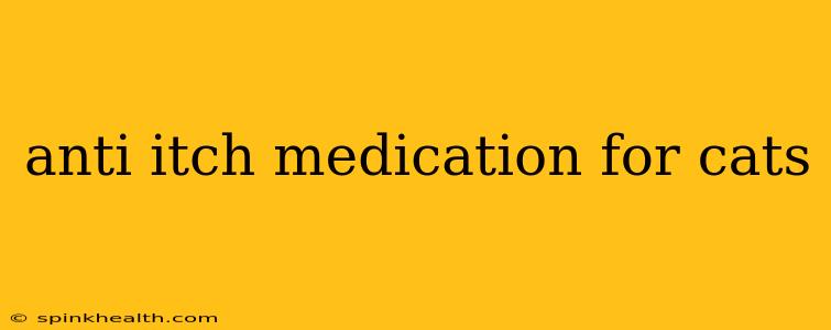anti itch medication for cats