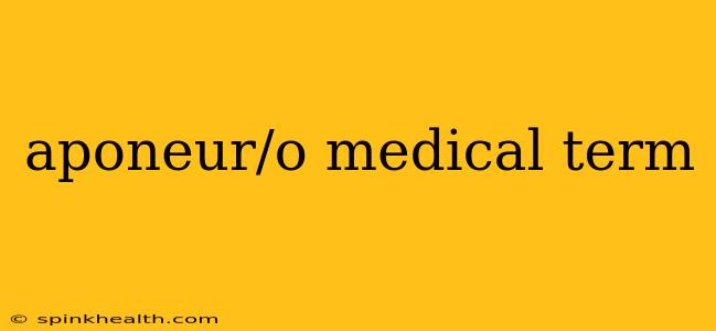 aponeur/o medical term