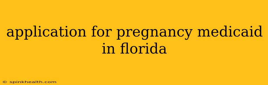application for pregnancy medicaid in florida
