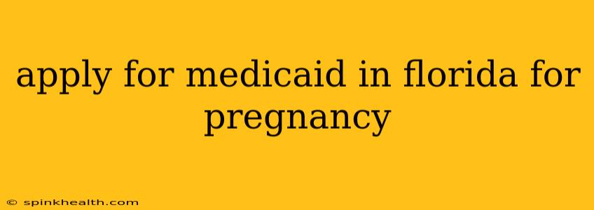 apply for medicaid in florida for pregnancy