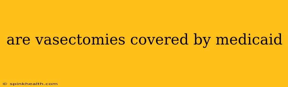 are vasectomies covered by medicaid