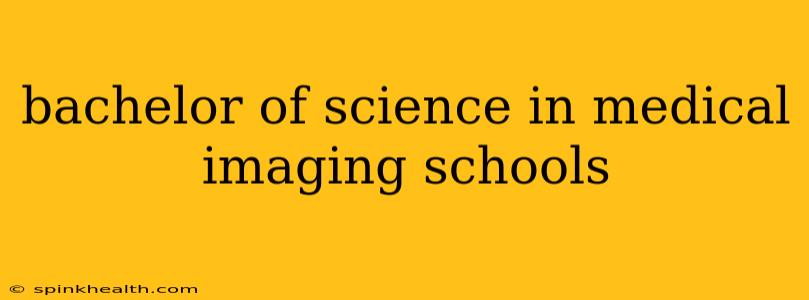 bachelor of science in medical imaging schools