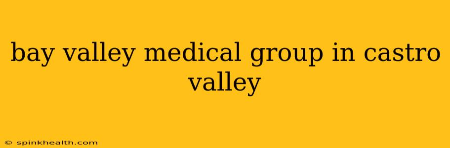 bay valley medical group in castro valley