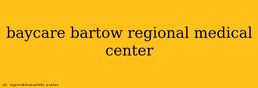 baycare bartow regional medical center
