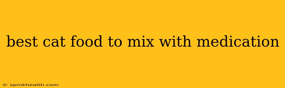 best cat food to mix with medication