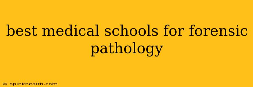 best medical schools for forensic pathology