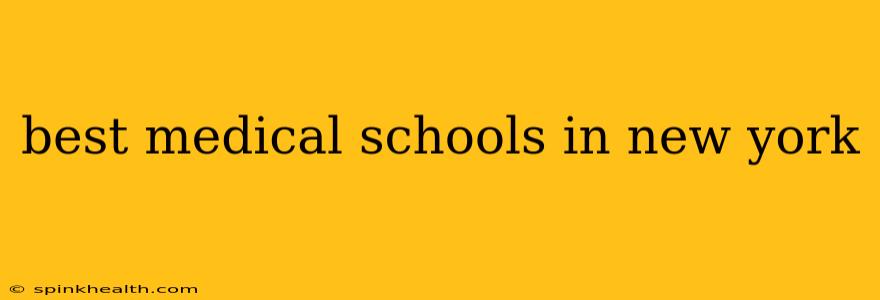 best medical schools in new york