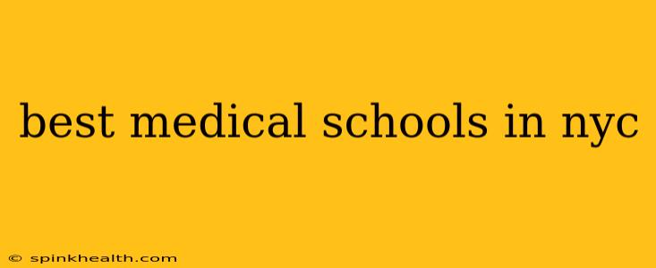 best medical schools in nyc