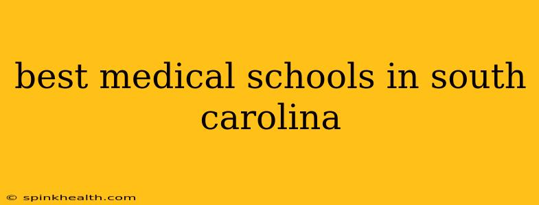 best medical schools in south carolina