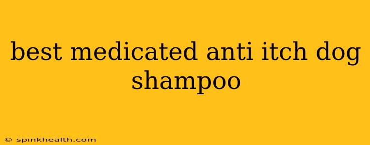best medicated anti itch dog shampoo