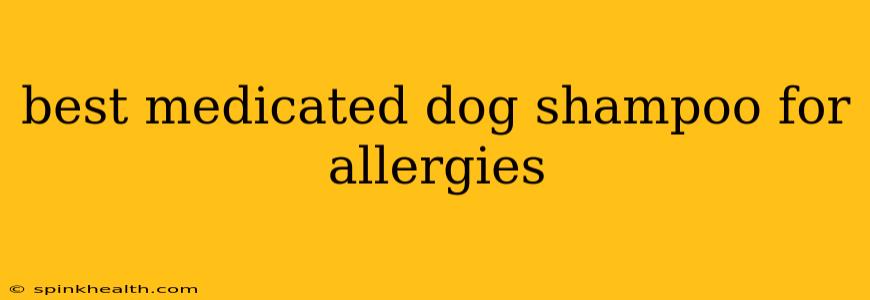 best medicated dog shampoo for allergies