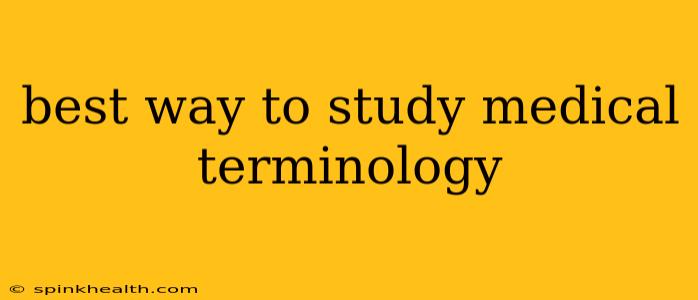 best way to study medical terminology