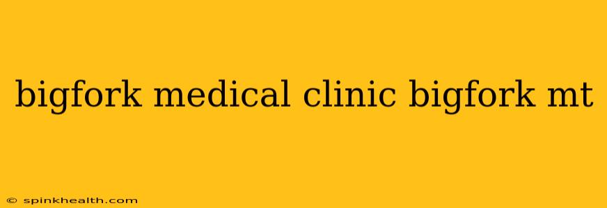 bigfork medical clinic bigfork mt