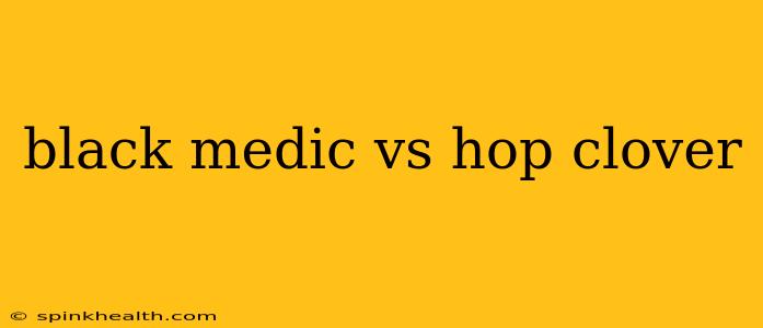 black medic vs hop clover