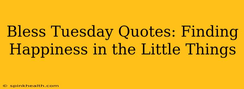 Bless Tuesday Quotes: Finding Happiness in the Little Things