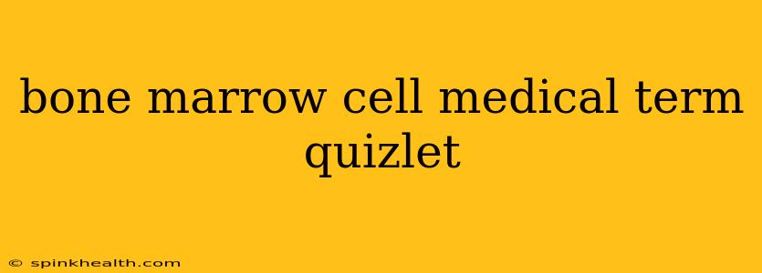 bone marrow cell medical term quizlet