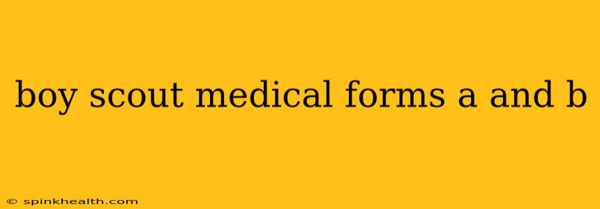 boy scout medical forms a and b
