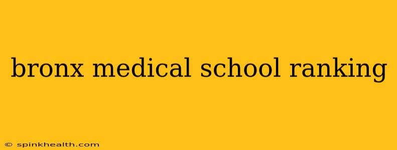 bronx medical school ranking